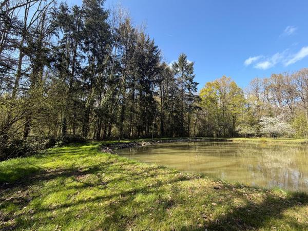 Terrain à NOGENT-LE-BERNARD, 72110 - 17193m²
