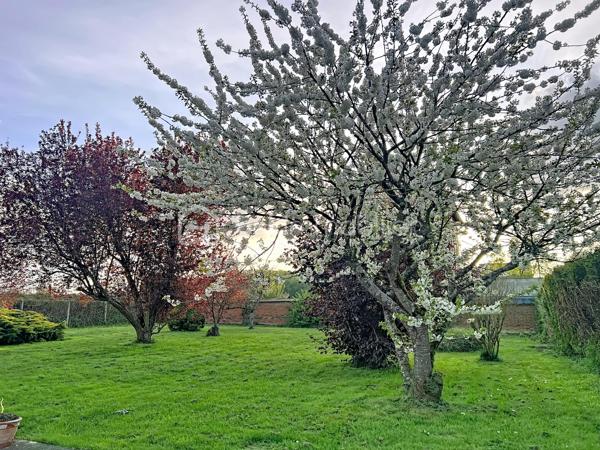 À vendre, terrain constructible d’environ 500 m², situé à Rainvillers, à seulement quelques centaines de mètres du Parc Saint-Paul et à quelques minutes de Beauvais.

Le terrain offre une façade d’environ 20 mètres et une profondeur d’environ 25 mètres, permettant la réalisation de nombreux projets de construction.

Situé dans un environnement calme, il bénéficie d’un emplacement agréable tout en restant proche des commerces, des écoles et des principaux axes routiers.

Le terrain est constructible. Il est actuellement non borné, mais le bornage sera réalisé avant la signature du compromis de vente.

Caractéristiques :

* Environ 500 m²
* Façade : environ 20 m
* Profondeur : environ 25 m
* Terrain constructible
* Bornage prévu avant le compromis
* Renseignements et documents disponibles sur demande.

Une belle opportunité pour construire votre future maison dans un secteur recherché.