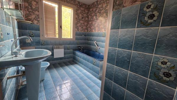 Pavillon à vendre à Fayl-Billot en Haute-Marne (52500), ref :