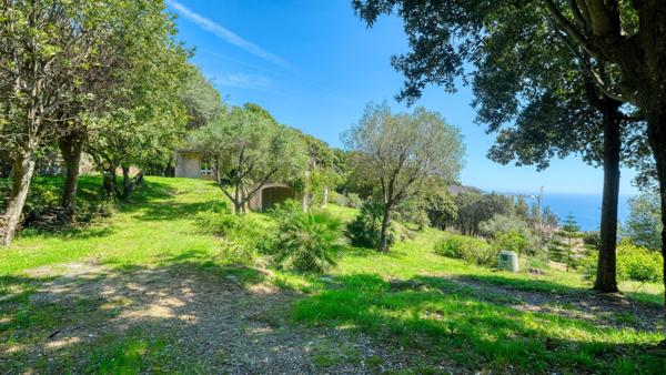 Propriété Bastia - Cardo maison 165 m2 avec terrain de 4500 m2 vue mer et piscine