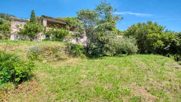 Propriété Bastia - Cardo maison 165 m2 avec terrain de 4500 m2 vue mer et piscine