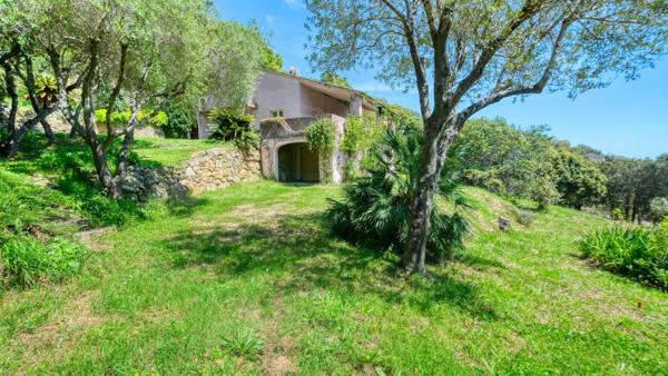 Propriété Bastia - Cardo maison 165 m2 avec terrain de 4500 m2 vue mer et piscine