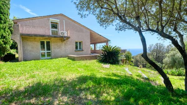 Propriété Bastia - Cardo maison 165 m2 avec terrain de 4500 m2 vue mer et piscine