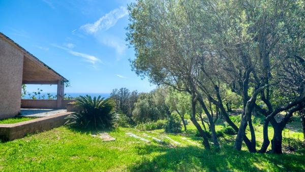 Propriété Bastia - Cardo maison 165 m2 avec terrain de 4500 m2 vue mer et piscine