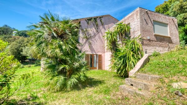 Propriété Bastia - Cardo maison 165 m2 avec terrain de 4500 m2 vue mer et piscine
