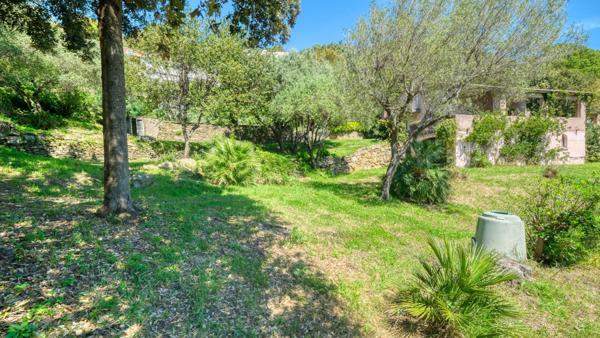 Propriété Bastia - Cardo maison 165 m2 avec terrain de 4500 m2 vue mer et piscine