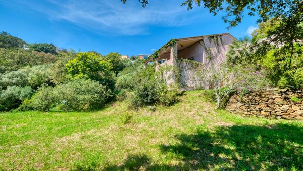 Propriété Bastia - Cardo maison 165 m2 avec terrain de 4500 m2 vue mer et piscine