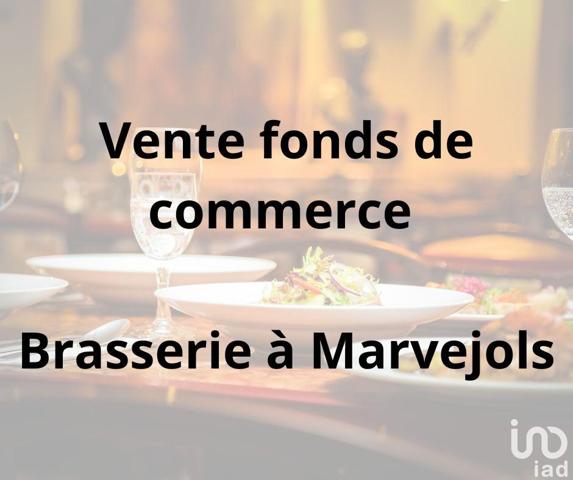 Brasserie à vendre 150 m² Marvejols