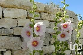 Maison à vendre 2 pièces 41,35 m² La Flotte