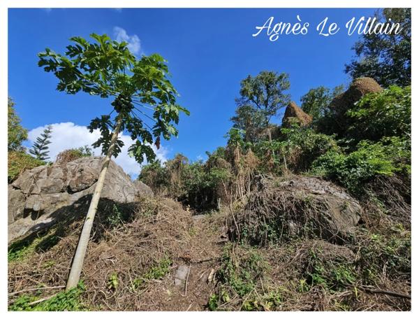 Terrain Vue Mer Grosses Roches de 1 041 m2