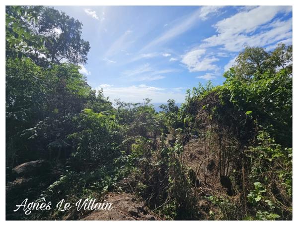 Terrain Vue Mer Grosses Roches de 1 041 m2