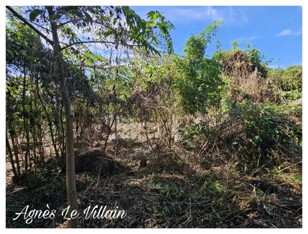 Terrain Vue Mer Grosses Roches de 1 041 m2