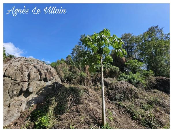 Terrain Vue Mer Grosses Roches de 1 041 m2