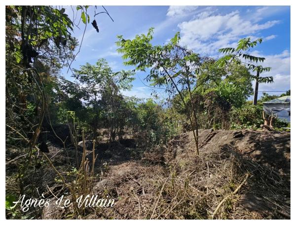 Terrain Vue Mer Grosses Roches de 1 041 m2