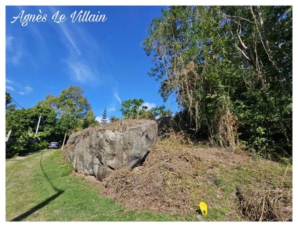 Terrain Vue Mer Grosses Roches de 1 041 m2