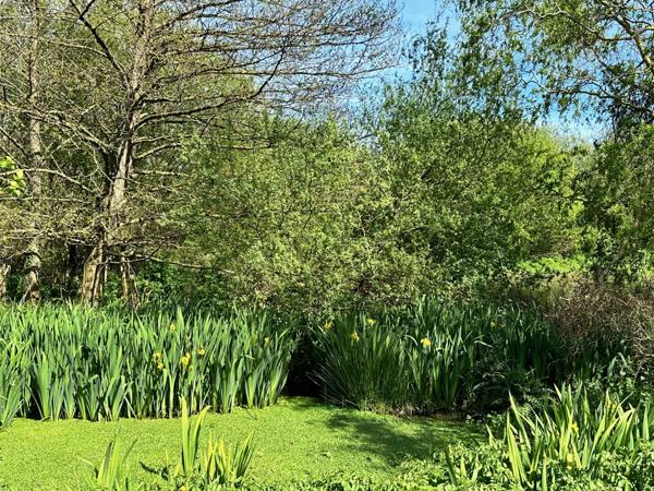 Manoir Morlaix - FINISTÈRE