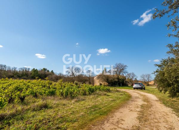 Magnifique mas provençal + gîte en pleine campagne de Bédoin - 1 hectare de terrain