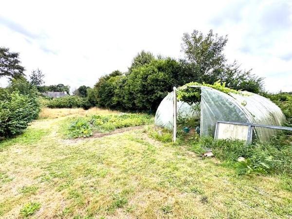 Maison 3 chambres + hangar