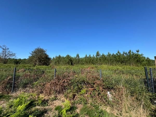 Maison Mios 5 pièce(s) 128 m2