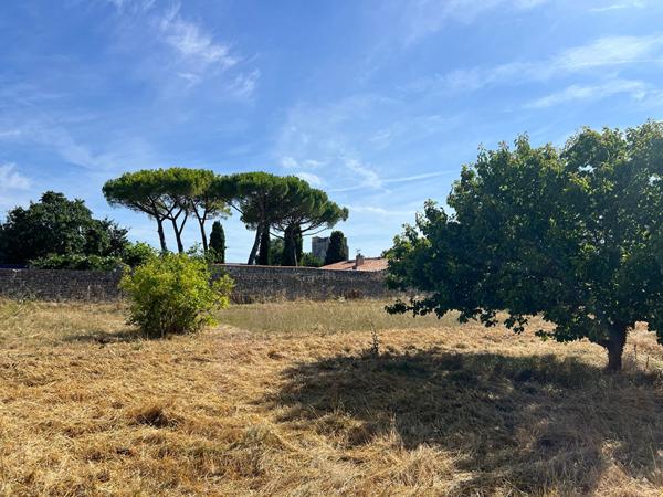 Terrain 2305 m2 à Marsilly