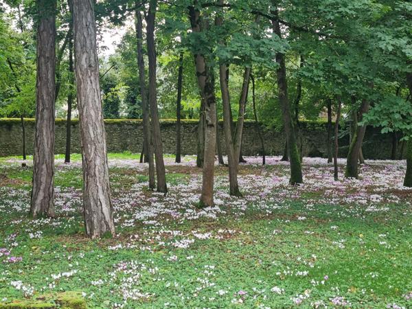 À vendre - Maison bourgeoise, 7 pièces située à Savonnières (37510)