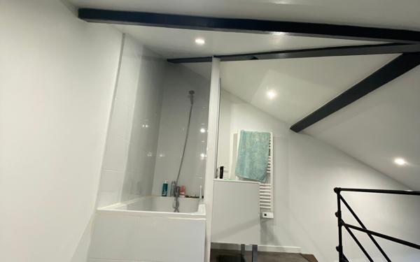 Appartement à louer    1 pièce •  Lyon 8