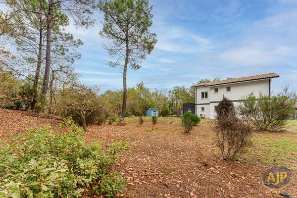 Vente maison Lege Cap Ferret : 527 750 € - AJP Immobilier Audenge