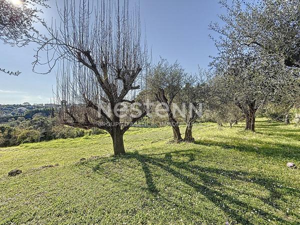 MAISON Grasse 9 pièce(s) 500 m2, 16000 m2 de terrain, au calme absolu, maison annexe,