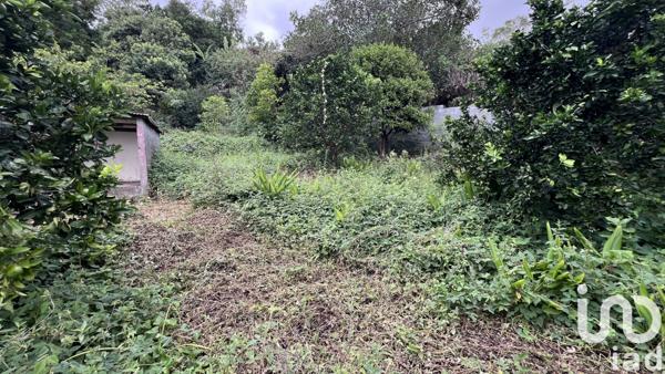 Terrain à vendre 1 705 m² Le Tampon