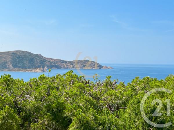 Appartement Studio à vendre  1 pièce - 32,01 m2 CALVI - 202