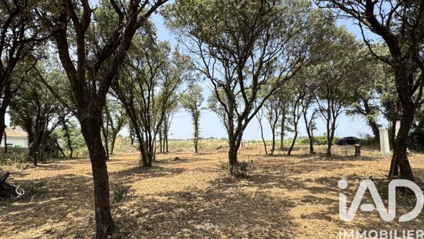 Terrain à vendre 700 m² Bédarrides