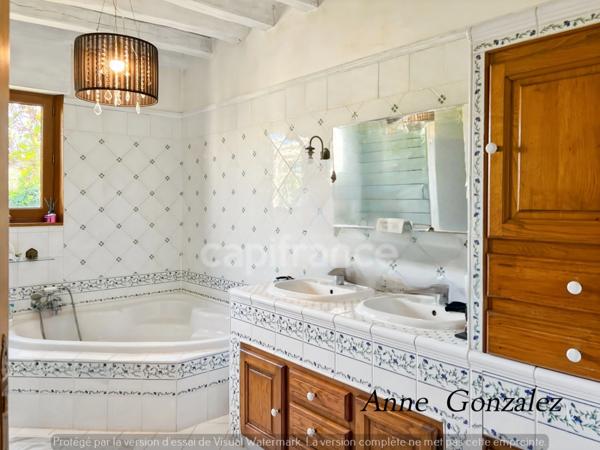 OLIVET, à dix minutes d'Orléans, dans un quartiet calme et privilégié, à vendre grande Maison de Caractère avec jardin clos et arboré de 1437 m2, piscine, jacuzzi, bar extérieur, garage double