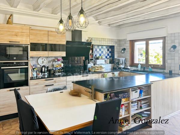 OLIVET, à dix minutes d'Orléans, dans un quartiet calme et privilégié, à vendre grande Maison de Caractère avec jardin clos et arboré de 1437 m2, piscine, jacuzzi, bar extérieur, garage double