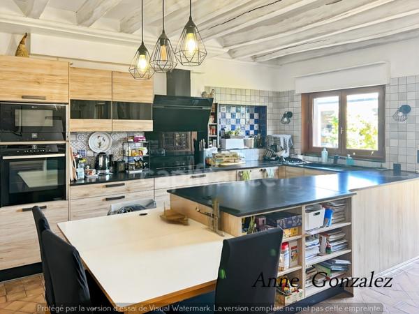 OLIVET, à dix minutes d'Orléans, dans un quartiet calme et privilégié, à vendre grande Maison de Caractère avec jardin clos et arboré de 1437 m2, piscine, jacuzzi, bar extérieur, garage double