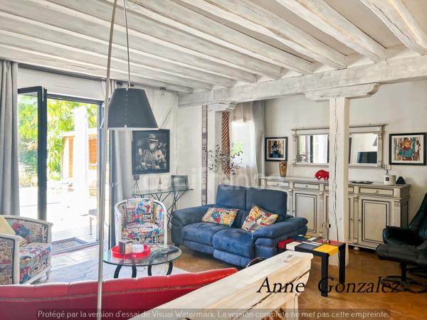 OLIVET, à dix minutes d'Orléans, dans un quartiet calme et privilégié, à vendre grande Maison de Caractère avec jardin clos et arboré de 1437 m2, piscine, jacuzzi, bar extérieur, garage double