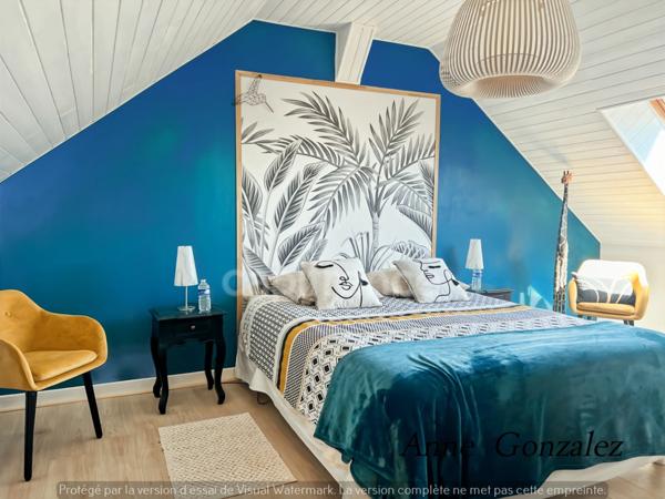 OLIVET, à dix minutes d'Orléans, dans un quartiet calme et privilégié, à vendre grande Maison de Caractère avec jardin clos et arboré de 1437 m2, piscine, jacuzzi, bar extérieur, garage double