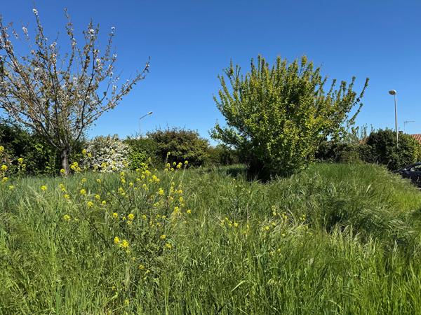 TERRAIN À BÂTIR 208m² à VAUX-SUR-MER Vaux sur mer