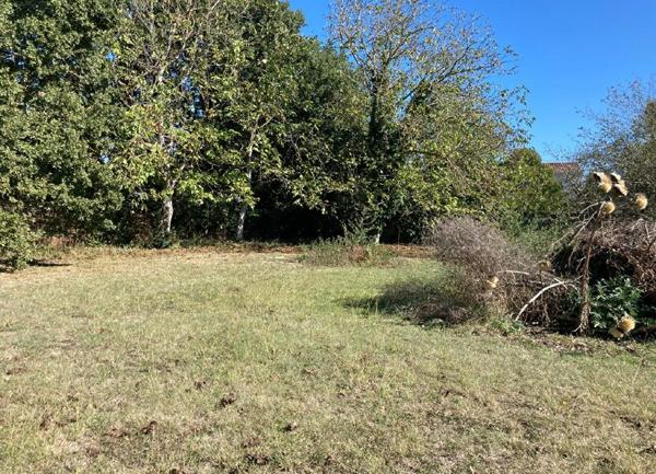 Terrain à vendre    Carbonne