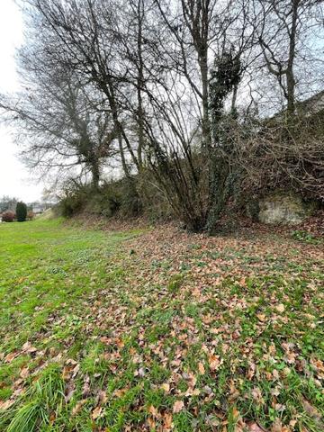 Terrain de loisirs - Montrichard 830 m2