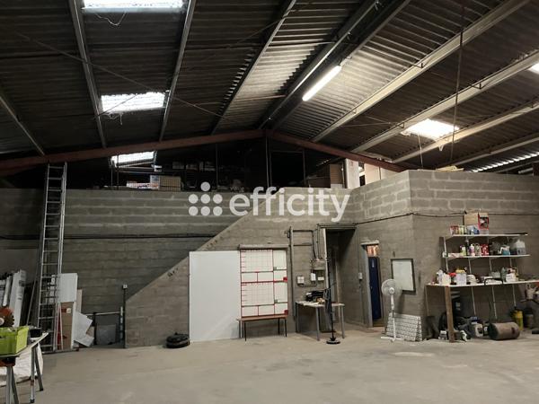 Local Commercial - 560 m²