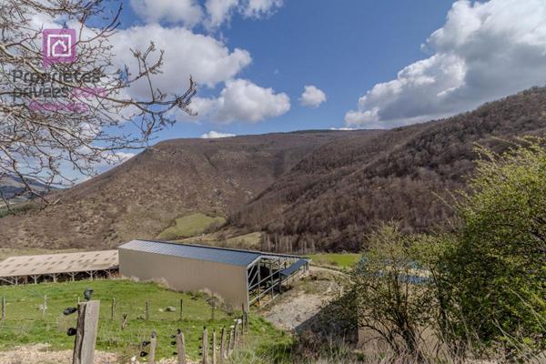 Domaine agricole  Biologique de 133 hectares Montbrun Les Bains 26570