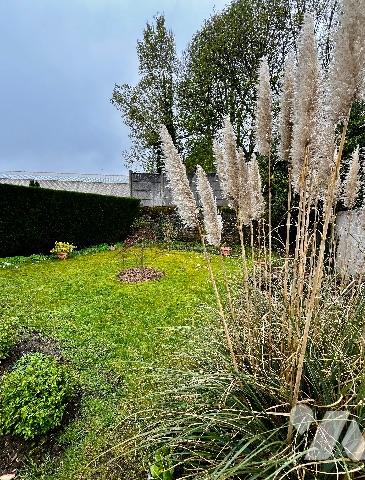 Charmante Maison des années 1930, dans un quartier prisé de NANCY - 4ch - terrasse - jardin - garage