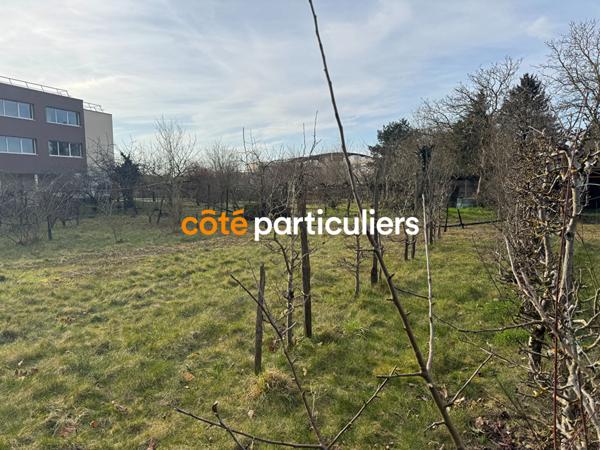 Vente Terrain1290 m² - OLIVET (45160)