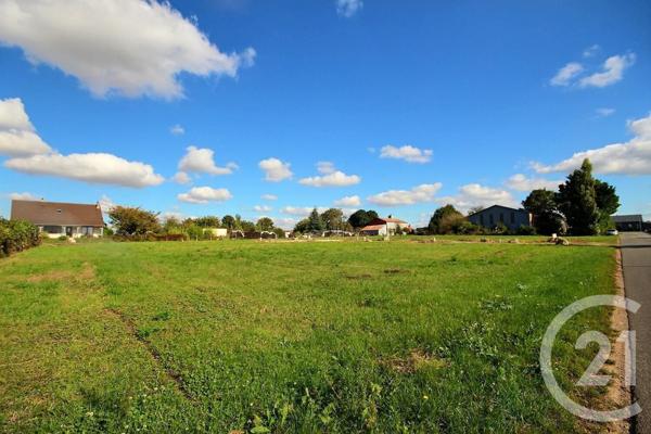 Terrain à vendre  703 m2 SERIS - 41