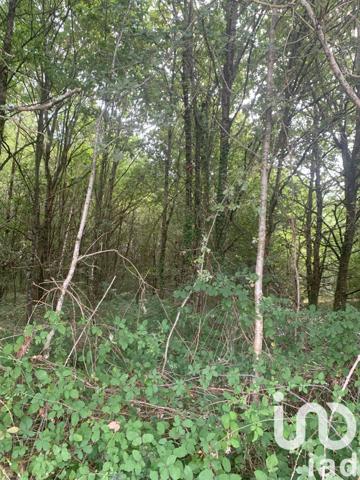 Terrain à vendre 8 580 m² Baudres