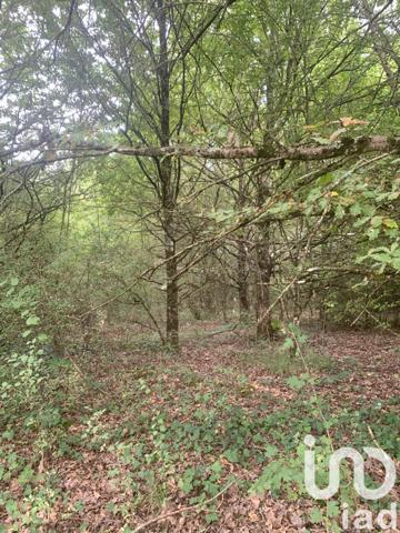 Terrain à vendre 8 580 m² Baudres