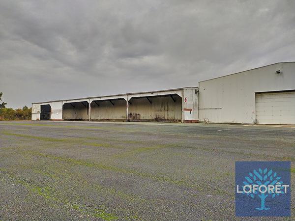 Location local commercial La Chaize-le-Vicomte - 4945 m² - 12 000 €/mois