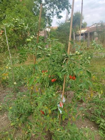 MAISON DE VILLAGE 70M2 HAB