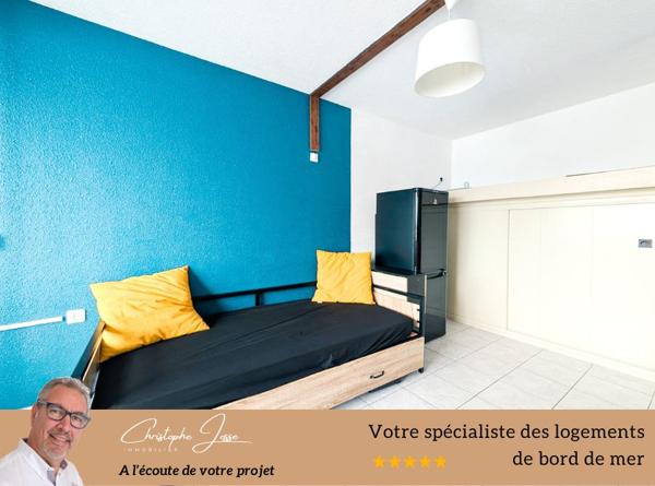 Appartement 4 couchages avec parking vue lac marin