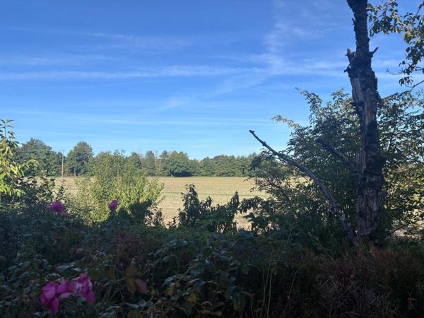 Charmante maison à 5 km et 5 mn du chateau de Sully-sur-Loire 5 pièces de 100m2